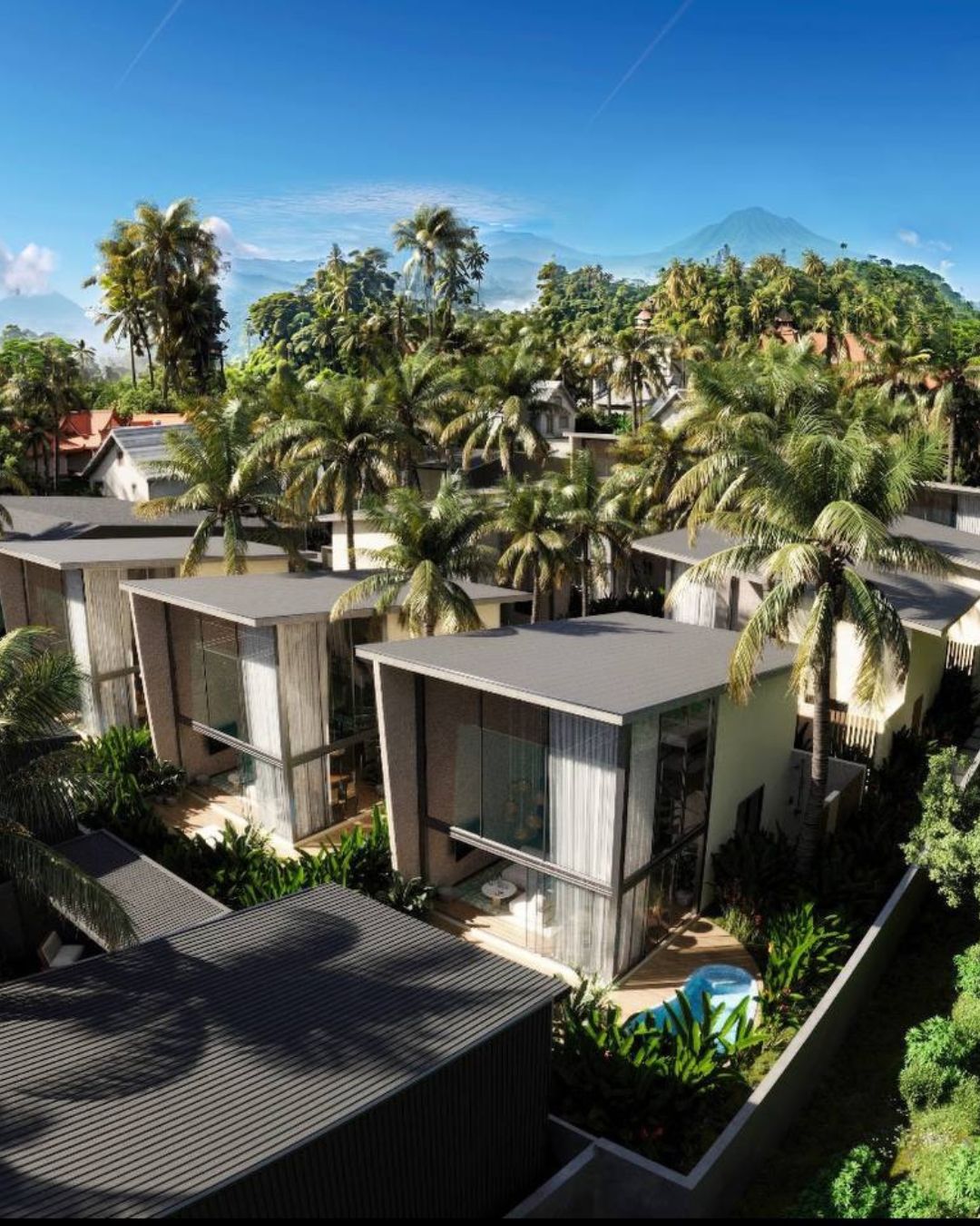 Tropical designer home for sale photo 2